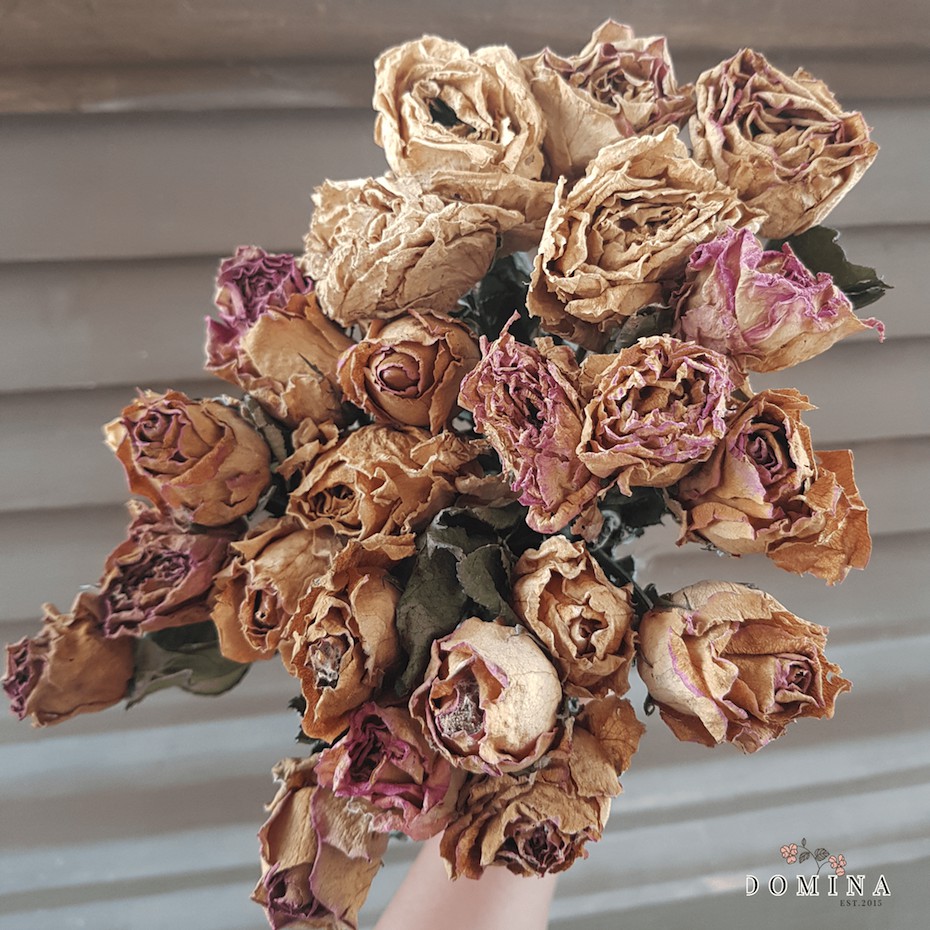 ASLI 1 tangkai mawar kering medium