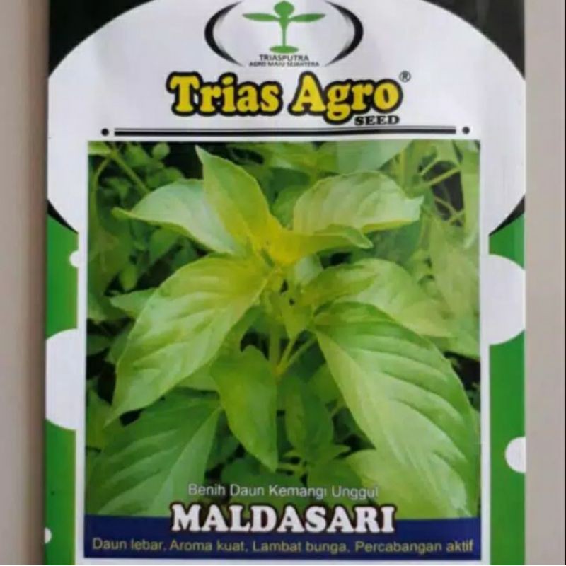 Isi 10 Gram Benih Bibit Kemangi MALDASARI/ Kemangi / Benih Sayuran