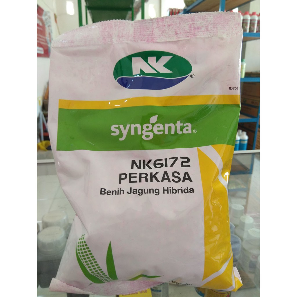 Benih Jagung NK 6172 Perkasa 1 Kg Shopee Indonesia Benih Jagung NK 6172 Perkasa 1 Kg Shopee Indonesia