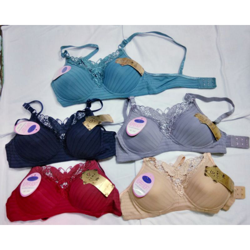 BH FEMA RENDA KUPU CORAK kain salur ukuran 34/40 Hak 2 per 1/2 lusin atau 6 pcs