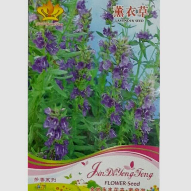 LAVENDER BIBIT BIJI BENIH BUNGA LAVENDER IMPORT ANTI NYAMUK SEED