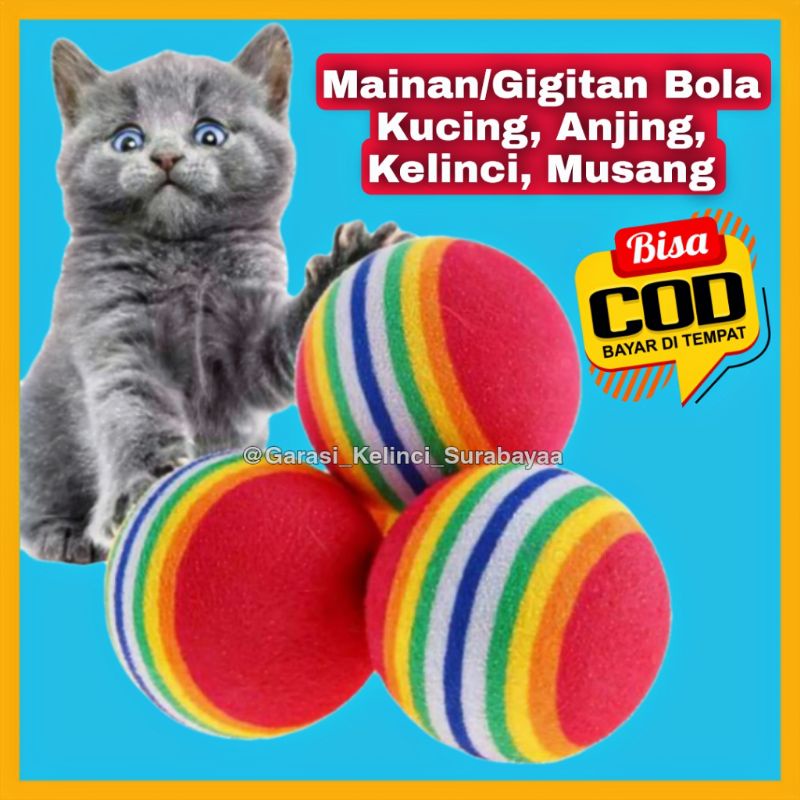 GPSS- Bola Mainan Kucing Anjing Kelinci Musang Marmut Mainan Anjing Mainan Kelinci Mainan Kucing Bergerak Mainan Anjing Gigit Kalung Anjing Tali Anjing Kalung Kucing Custom Mainan Untuk Kucing Kalung Anjing Kecil Mainan Anak Kucing