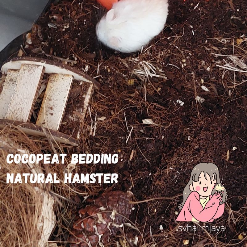 Cocopeat alas bedding natural hamster