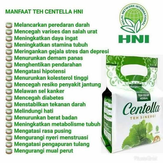 

CENTELLA TEA SINERGI HNI TEH PEGAGAN TEH HERBAL TEH HIJAU MELANCARKAN PEREDARAN DARAH