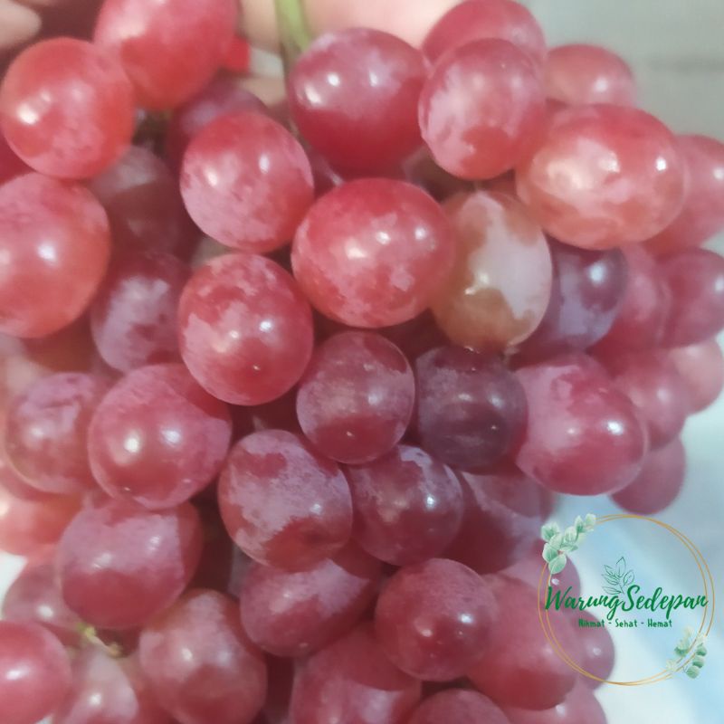 

Buah Anggur Crimson Manis Non Biji Anggur Seedless Import Buah Segar Bekasi Buah Segar Cikarang