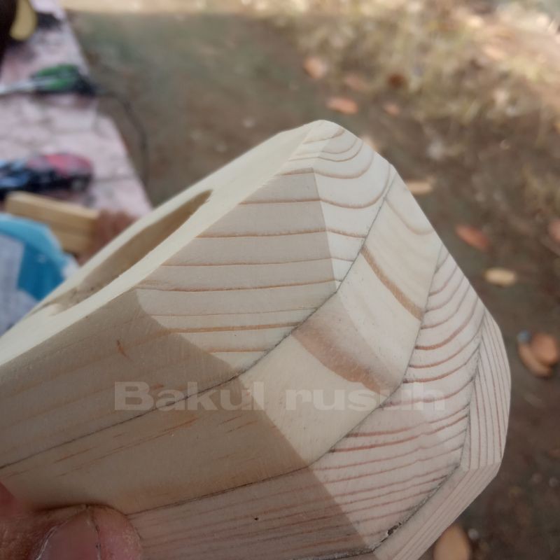pot kaktus sukulen kayu unik mini kayu jati belanda bagus