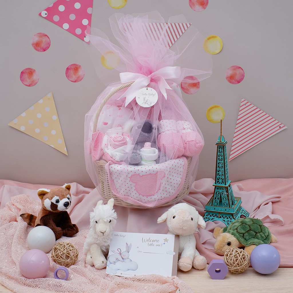 BARU LIO034 (Girls) Parcel Premium Hello Baby Hampers Gift 0-12 months