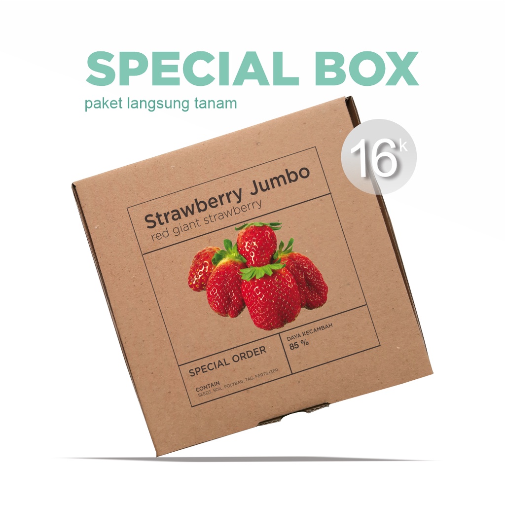 Paket Langsung Tanam - Gardening Kit - SPECIAL BOX - Benih Strawberry Jumbo Merah Red Giant Strawberry Seeds