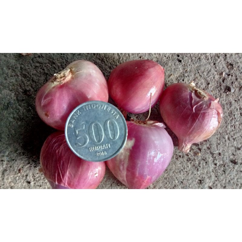

Bawang Merah Super PREMIUM [500g]