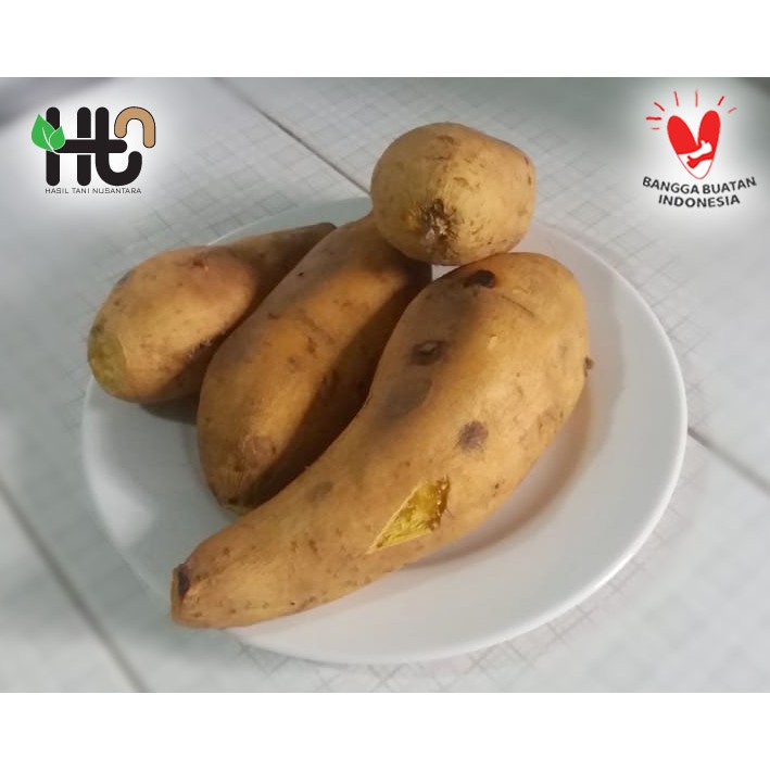 

Ubi cilembu sweet potato matang oven 1 kg