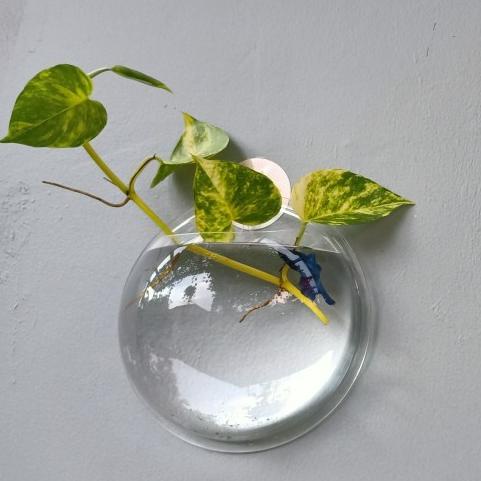 Aquarium Dinding Tempel Gantung Hiasan Rumah Tanaman Ikan Cupang