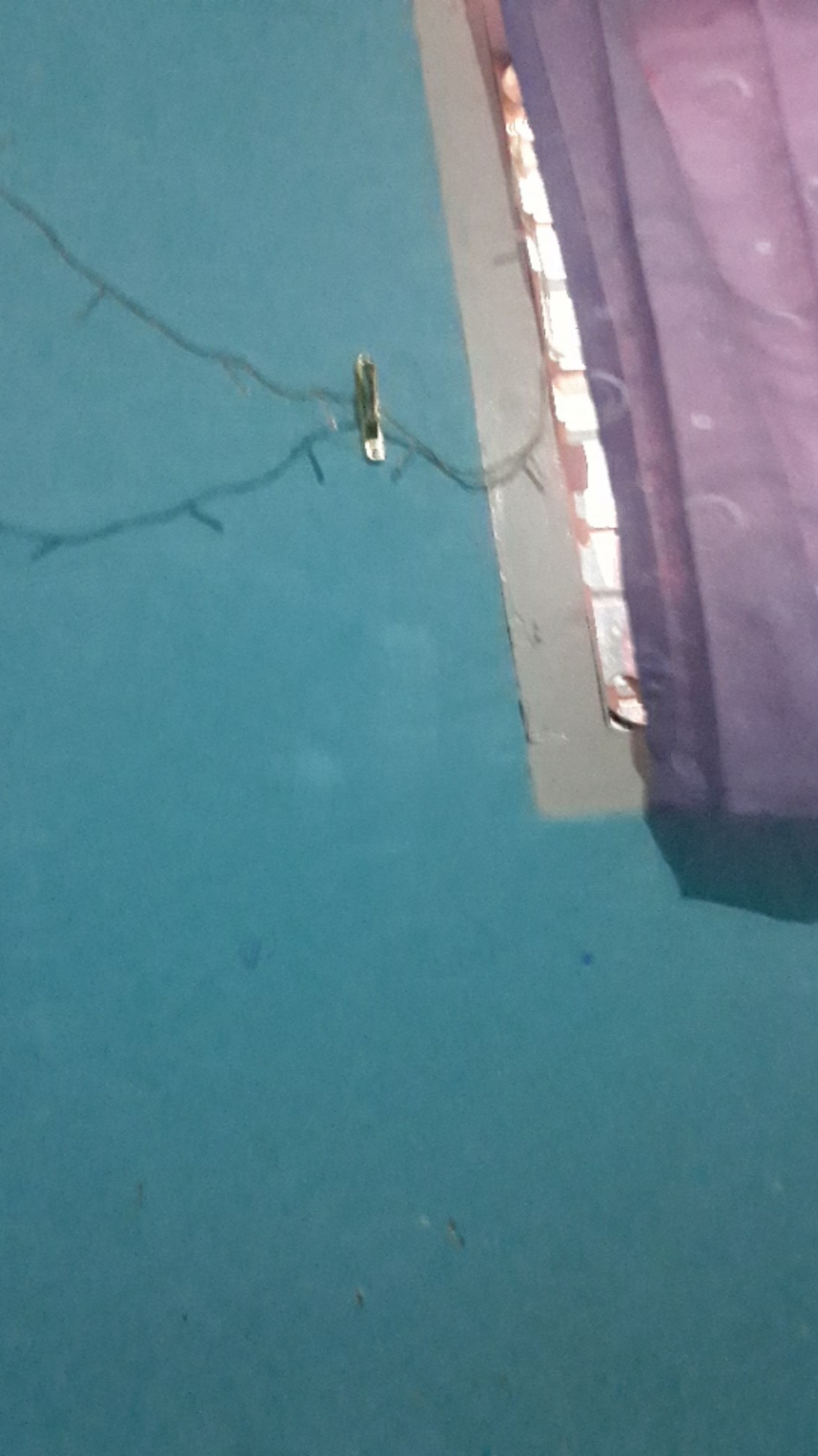 Hook Lumba-lumba Kaitan Ikat Gorden_isi Dua (sepasang)