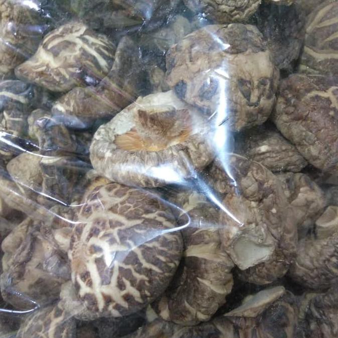 

Promo !! Shitake mushroom/jamur shitake/hioko 50g Terbaru