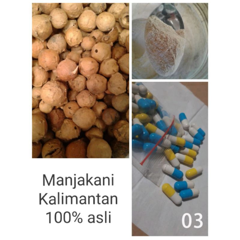 

Manjakani Kapsul