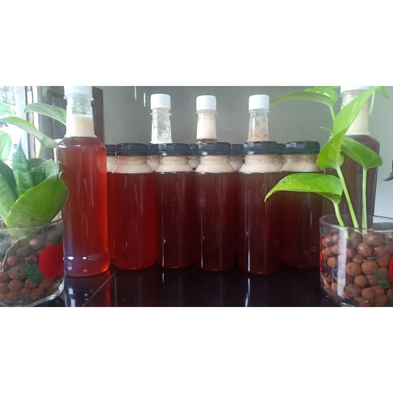 

Madu hutan asli dari Desa Sadu Jambi 1kg