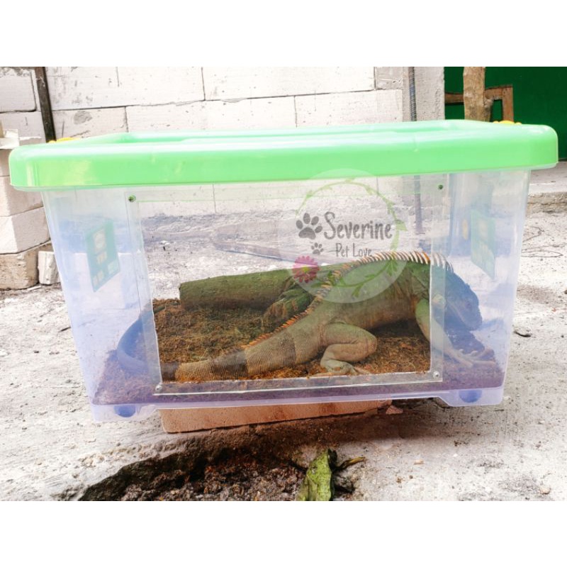 Terrarium Iguana | kandang iguana | kontainer Container box modif kandang landak mini | box ular | b