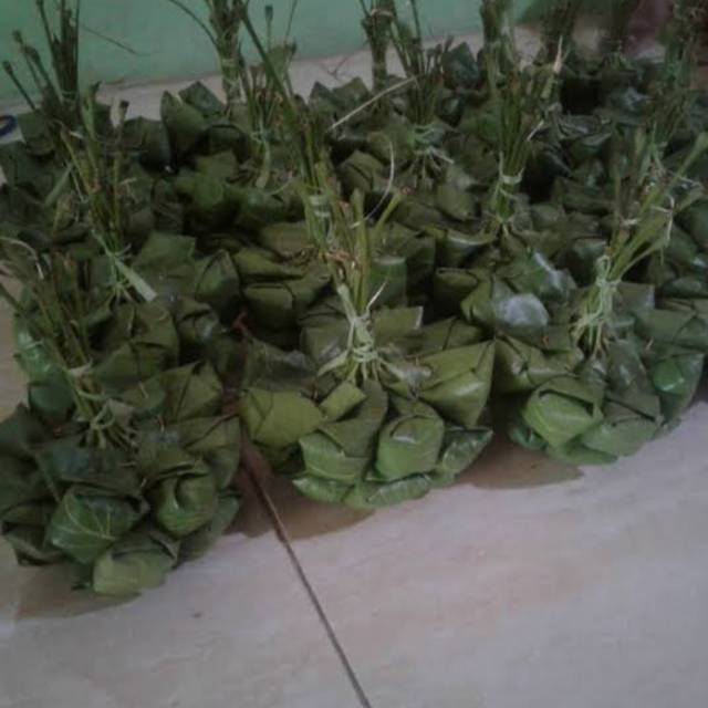 

Tape Daun Ploso