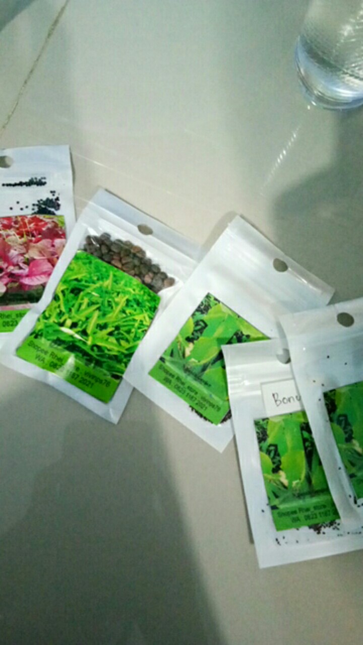 200 Biji Benih Kangkung Bangkok Cap Panah Merah