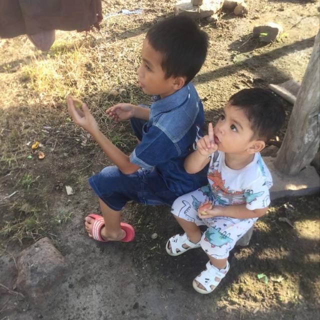 hardi_herawati14022017