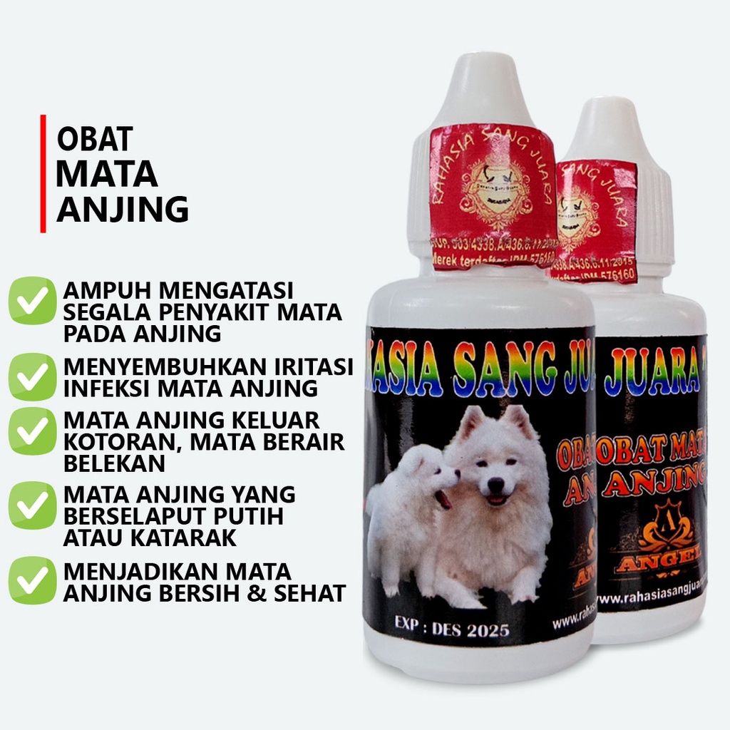 OBAT MATA ANJING BELEKAN BERAIR INFEKSI DAN KATARAK