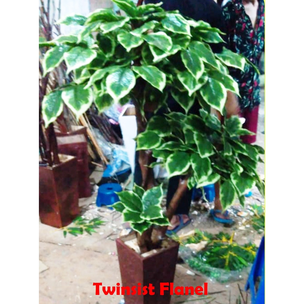 Pohon Bonsai Sinfu Plastik Artificial Palsu 120Cm/Hiasan Sudut Ruangan/Bunga Hias Plastik/Dekorasi