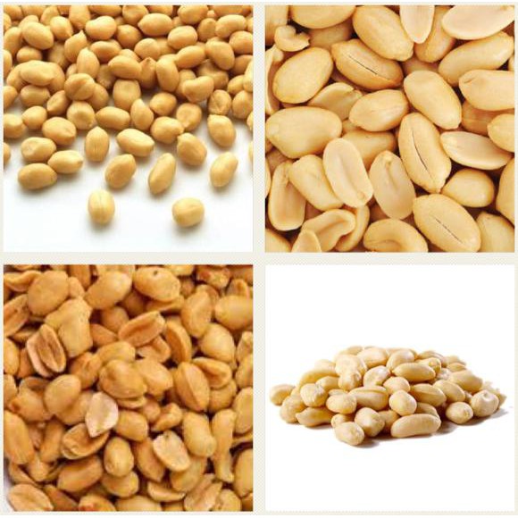 

Diskon Gila!! 1 kg Kacang Tanah Oven Kupas Kulit Ari / Blanched Roasted Peanuts