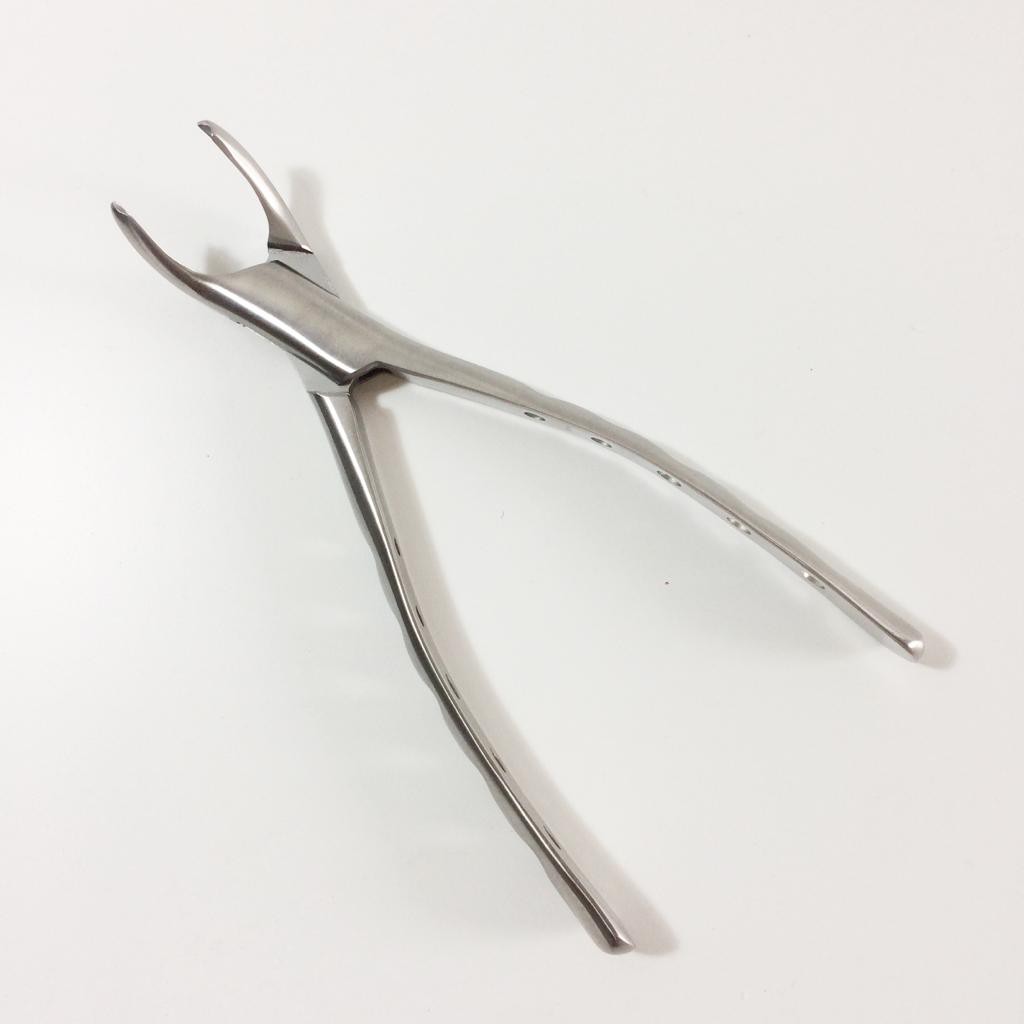 Dental Adult Forceps