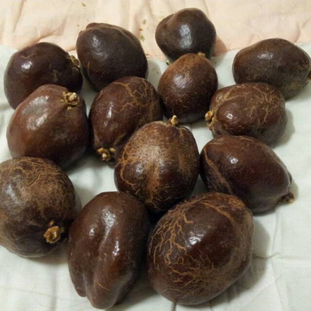 

Buah zuriat untuk promil