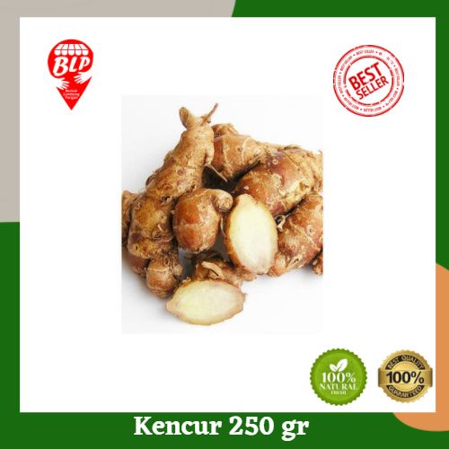 

Kencur Segar 250 gr Berkah Lumbung Pangan