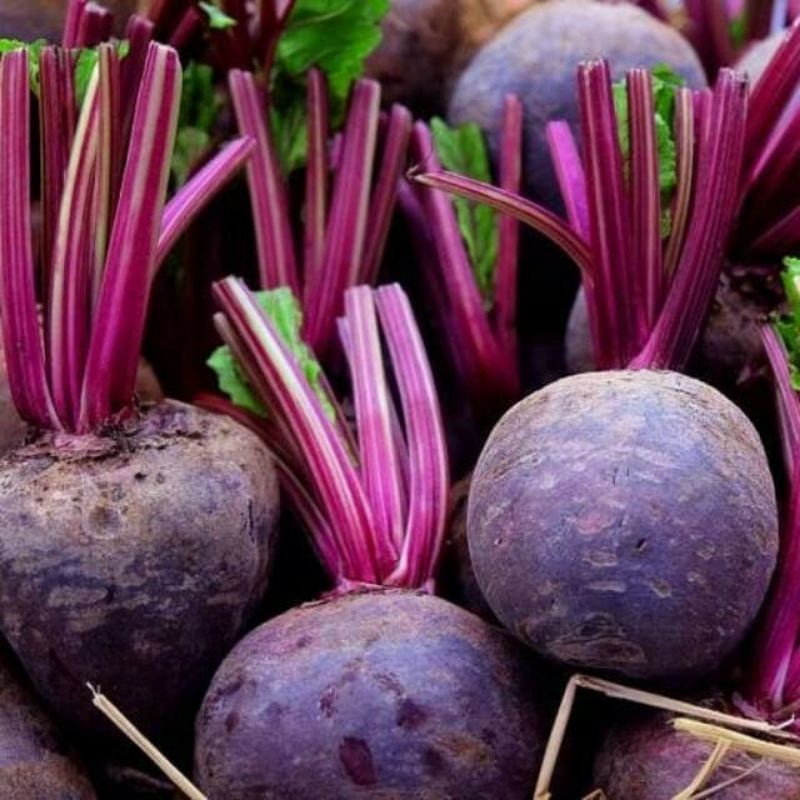 

buah bit/bit root 1kg promo
