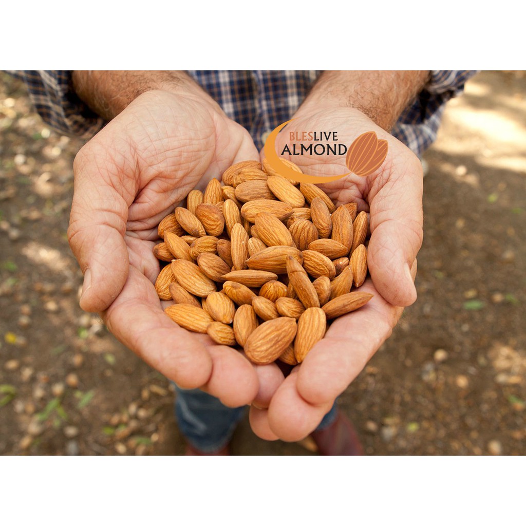 

Jual Premium Raw Almond Whole 500 Gram - Kacang Almond Mentah 1/2 kg