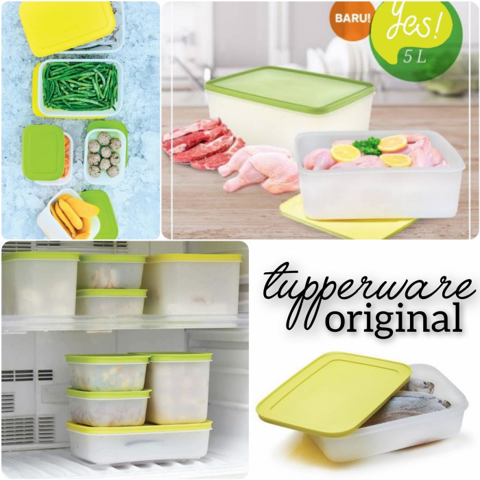 

Sale ✔ Tupperware✔ Penyimpanan Daging Ayam Ikan Makanan Beku Di Freezer