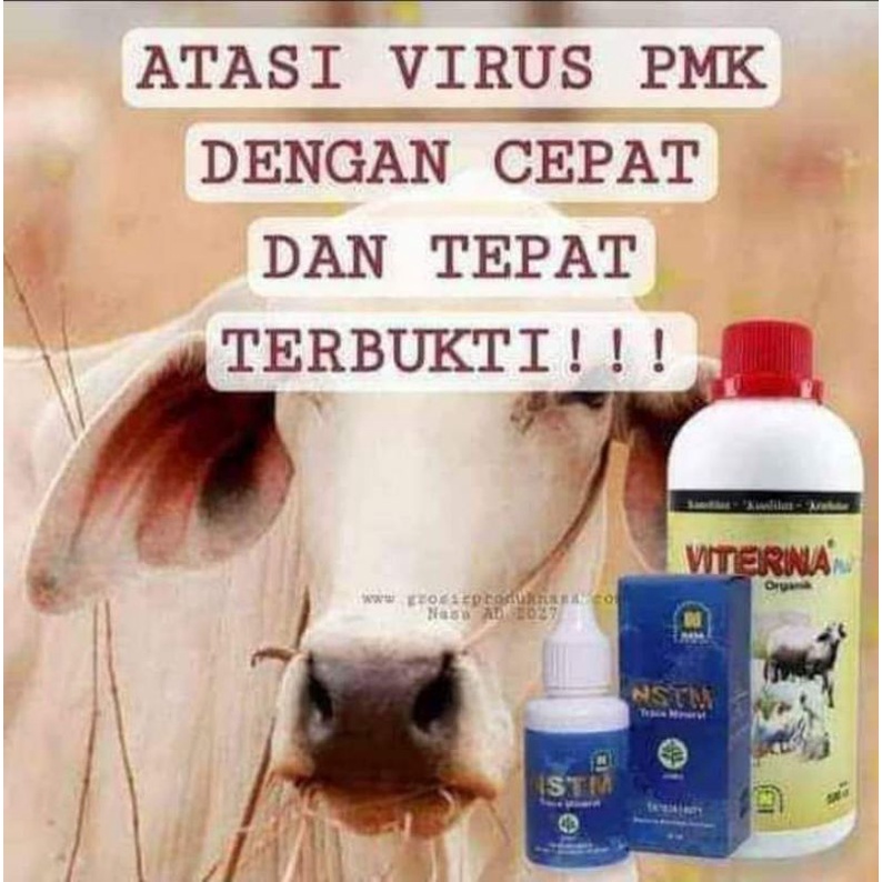 viterna/VTN/viterna nasa/vitamin ternak/paket peternakan/organik nasa