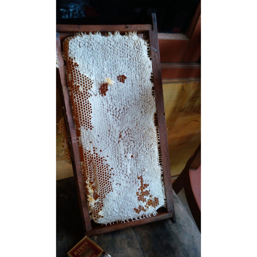 

PAKET FAMILY SEHAT PROMO