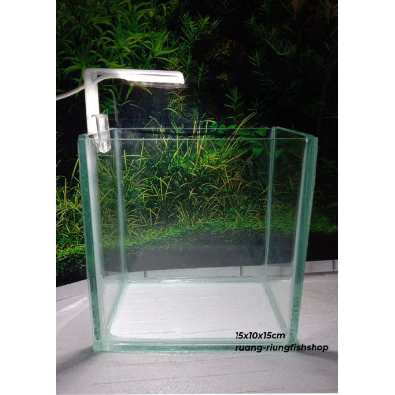 soliter ikan cupang custom/akuarium kaca mini