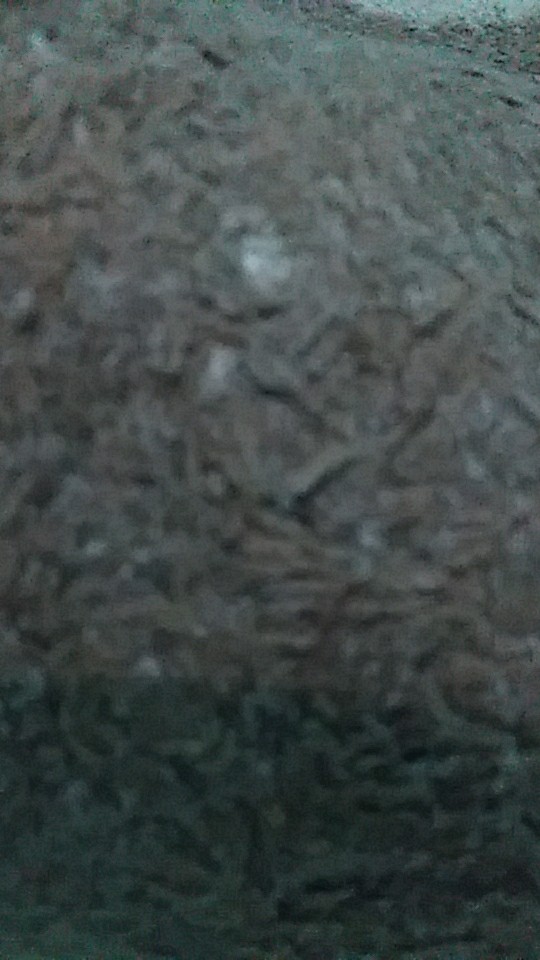 Daster Canela Brukat Kekinin || Daster Brukat || Daster Batik Pekalongan Maju