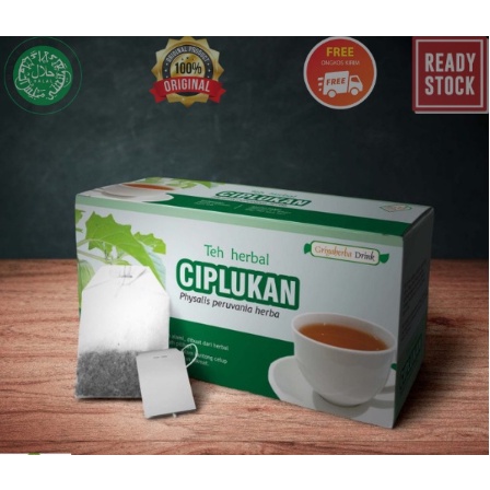 TEH HERBAL CIPLUKAN ASLI ORIGINAL OBAT DIABET PEMBENGKAKAN BATUK SAKIT TENGGOROKAN BPOM HALAL