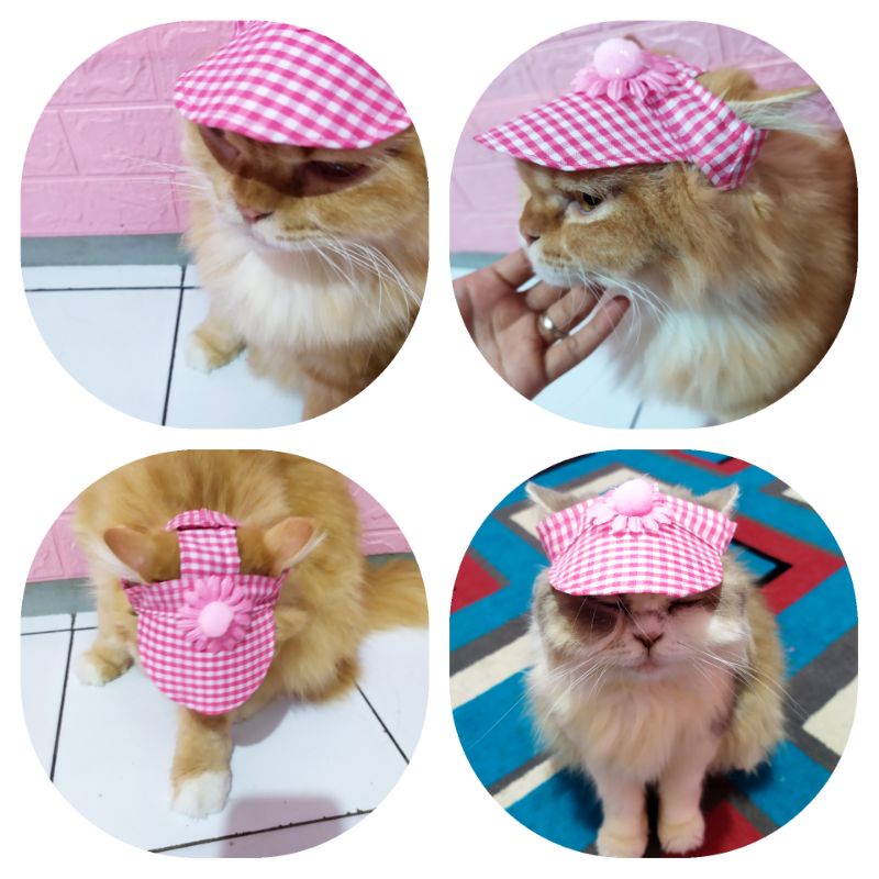 TOPI KUCING