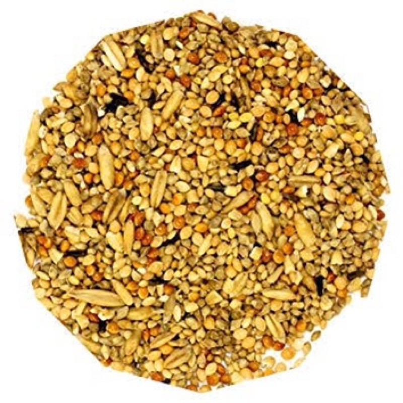 Organic 10 Grains 100g/ Campuran 10 Jenis Beras Organik 100g
