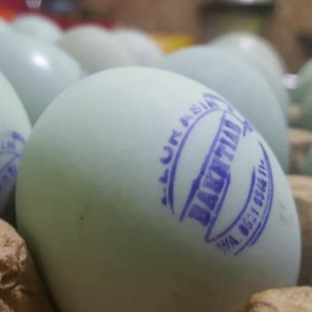 

TELOR ASIN BAKHTIAR