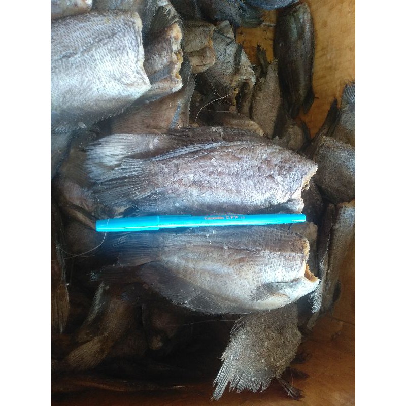 

IKAN SAPEK GADANG 250g