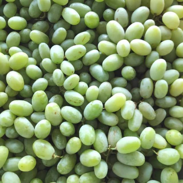 

Anggur hijau Australia ada biji 500 gram