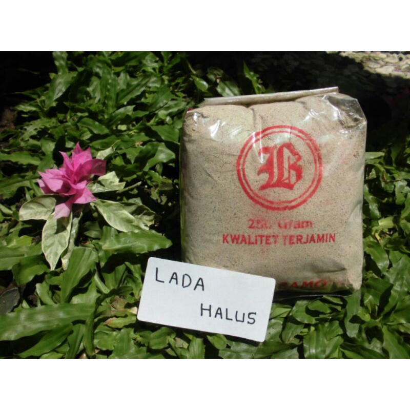 

LADA HALUS atau MERICA BUBUK