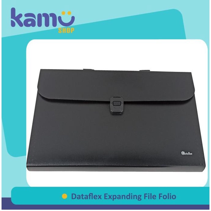 

Office & Stationery | Document Organizer | Dataflex Expanding File Folio Df-231 | Best Seller