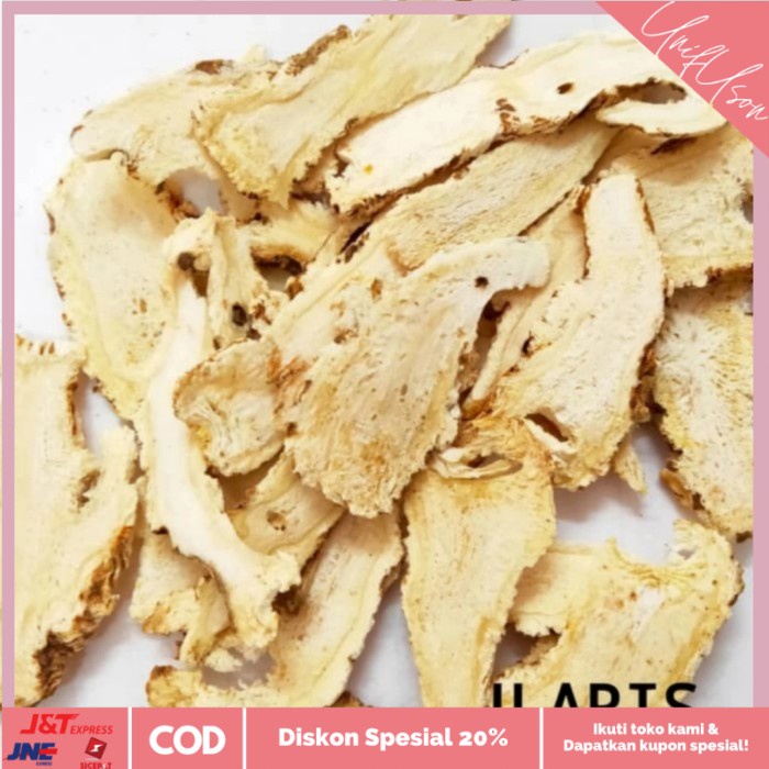 

⭐COD⭐ Dang G 100gr / Tong Kui Tou /Angelica Roots (Slice)Untuk Menambah Dara