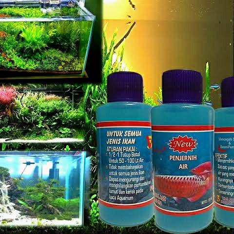 Penjernih air Aquarium