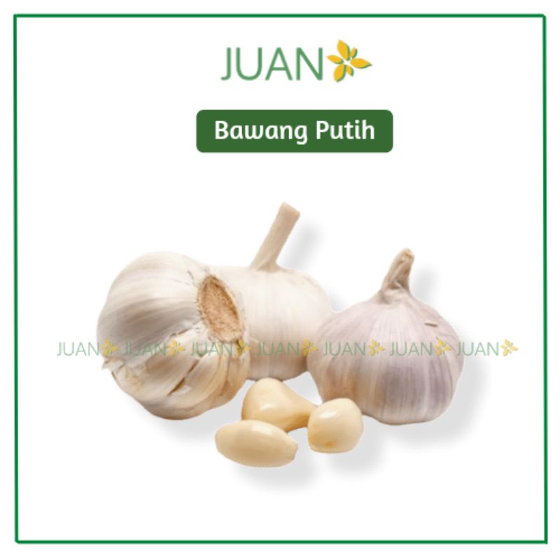 

Bawang Putih 500gr - Juan Freshmart