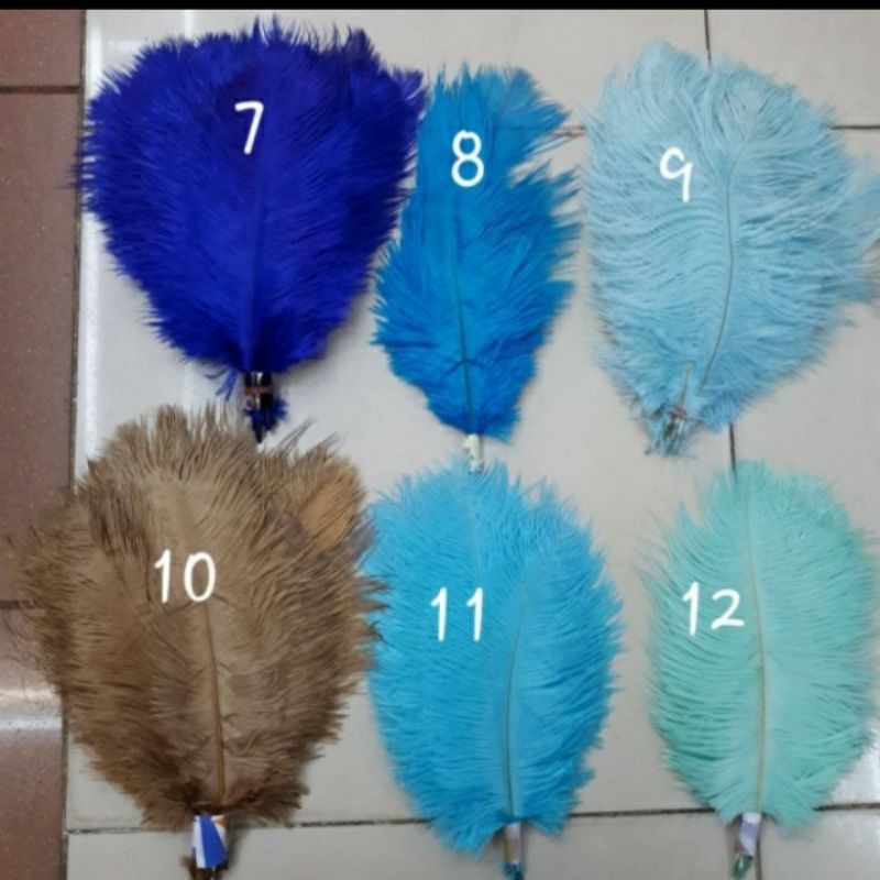 Bulu Ostrich Tangkai Uk 21-25cm