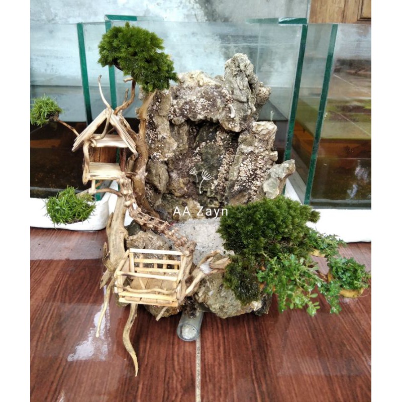 Tebing waterfall aquascape /paludarium MINI