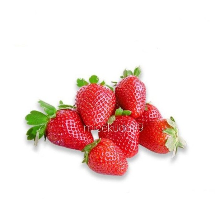 

STRAWBERRY BUAH SEGAR 1 KG PETIK POHON / STROBERI STRAWBERI FRESH STRAWBERY